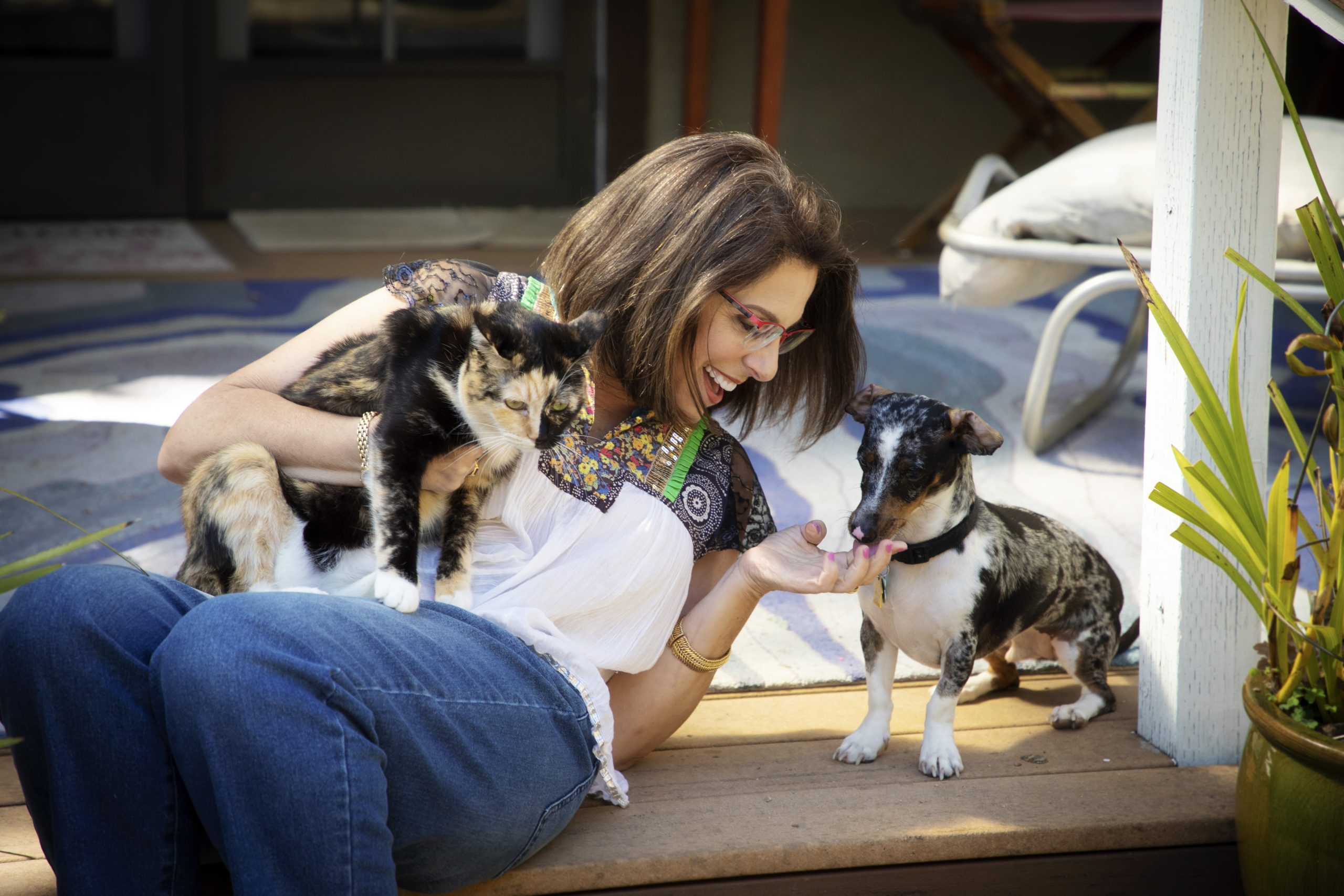 Pets